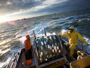 Un secteur halieutique en pleine vague de succès Un secteur halieutique en pleine vague de succès