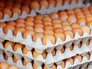 Des œufs turcs pour calmer la crise américaine Des œufs turcs pour calmer la crise américaine