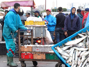 Les sardines à 5 dirhams qui expose les failles du marché marocain Les sardines à 5 dirhams qui expose les failles du marché marocain