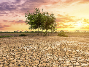 Changement climatique : le Maroc à court d’eau Changement climatique : le Maroc à court d’eau