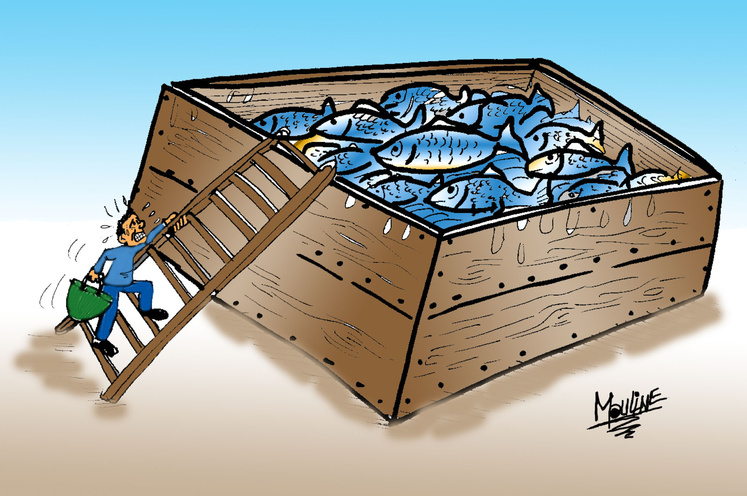 Réalisée par Mohammed Yassir Mouline Réalisée par Mohammed Yassir Mouline