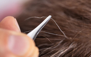 Cheveux blancs : pourquoi les arracher est une (très) mauvaise idée ? Cheveux blancs : pourquoi les arracher est une (très) mauvaise idée ?