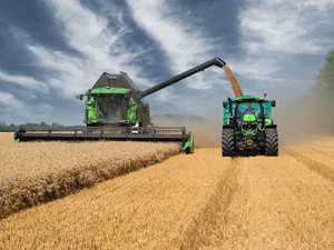 Blé français : le Maroc renforce ses importations Blé français : le Maroc renforce ses importations