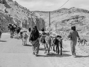 Ruralité : les voix basses de ceux qui partent Ruralité : les voix basses de ceux qui partent