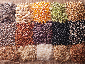 SIAM : Semences : le grain de la discorde SIAM : Semences : le grain de la discorde