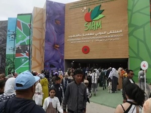 Meknès accueille la France au SIAM 2025 : innovation agricole et diplomatie verte au programme Meknès accueille la France au SIAM 2025 : innovation agricole et diplomatie verte au programme