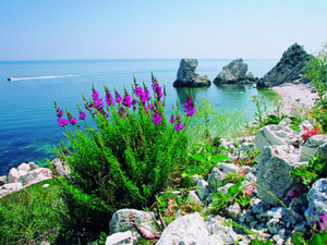 Les Marches : l'écrin cinématographique de l'Italie Les Marches : l'écrin cinématographique de l'Italie