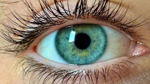 Une nouvelle couleur découverte… mais tu ne peux pas la voir (ni la porter) Une nouvelle couleur découverte… mais tu ne peux pas la voir (ni la porter)