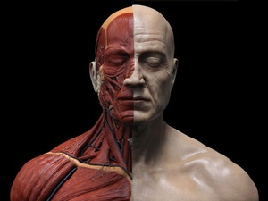 Et si ton vrai âge n’était pas celui que tu crois ?