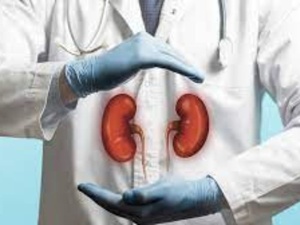 Hypertension silencieuse : quand les reins jettent l’éponge Hypertension silencieuse : quand les reins jettent l’éponge