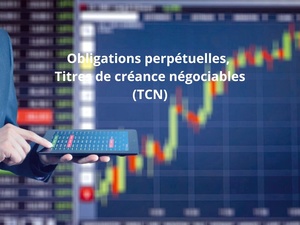 Obligations perpétuelles, TCN, placements privés : les nouvelles armes financières des grandes entreprises