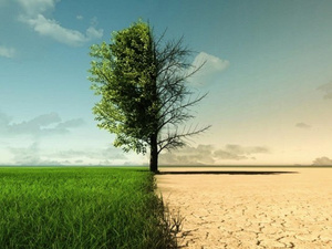 Climat en surchauffe : Le mois d’avril 2025 a failli battre le pire Climat en surchauffe : Le mois d’avril 2025 a failli battre le pire