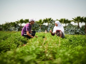 Agriculteurs familiaux : les grands oubliés de la stratégie Génération Green ?