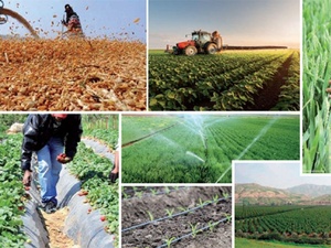 PMV : 99 milliards pour les grands, 14 milliards pour les petits ? PMV : 99 milliards pour les grands, 14 milliards pour les petits ?