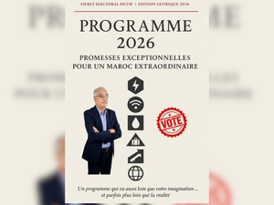 Parution du livre : En 2026, ne votez pas pour moi SVP ! Parution du livre : En 2026, ne votez pas pour moi SVP !