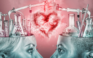 L’amour, une affaire d’hormones ? L’amour, une affaire d’hormones ?