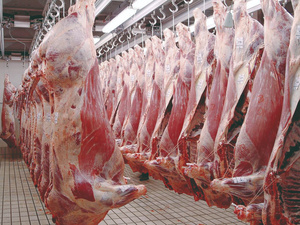Aïd 2025 : flambée des prix de la viande malgré l’annulation du sacrifice Aïd 2025 : flambée des prix de la viande malgré l’annulation du sacrifice