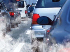 Casablanca étouffe : et si la nature devenait un soin urbain ? Casablanca étouffe : et si la nature devenait un soin urbain ?