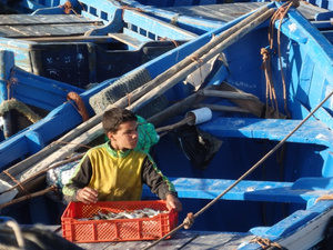 Travail des enfants : plus de 100 000 petits Marocains concernés selon le HCP Travail des enfants : plus de 100 000 petits Marocains concernés selon le HCP