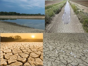 Une sécheresse historique au Maroc : vers une crise hydrique durable ?