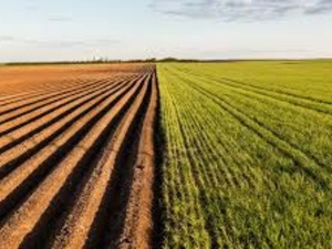 Une agriculture à bout de souffle : vers une refondation du modèle productiviste au Maroc ? Une agriculture à bout de souffle : vers une refondation du modèle productiviste au Maroc ?