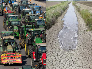 Exportations agricoles : entre succès commercial et inquiétudes hydriques