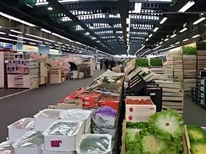 Circuits alimentaires au Maroc : entre désordre structurel et enjeux de transparence Circuits alimentaires au Maroc : entre désordre structurel et enjeux de transparence