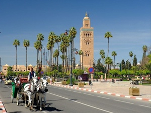 FNAP 2025 : Marrakech danse au rythme du patrimoine marocain ! FNAP 2025 : Marrakech danse au rythme du patrimoine marocain !