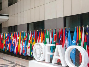 Sécurité alimentaire : le Maroc garde sa place à la table des grands Sécurité alimentaire : le Maroc garde sa place à la table des grands