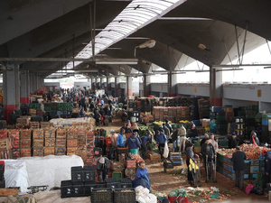 Circuits traditionnels vs modernes : derrière le prix, les disparités cachées