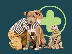 Incroyable mais vrai : Sanlam Maroc lance la première assurance santé animale du Royaume