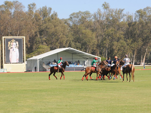 Une semaine de polo et de passion à ne pas manquer Une semaine de polo et de passion à ne pas manquer