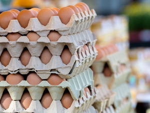 Flambée des prix des œufs au Maroc : 3 dirhams dans certaines localités Flambée des prix des œufs au Maroc : 3 dirhams dans certaines localités