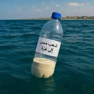 Pour Gaza, des bouteilles de riz jetées à la mer depuis l'Égypte Pour Gaza, des bouteilles de riz jetées à la mer depuis l'Égypte