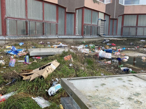 Le fléau des jets de détritus : un geste banal, un désastre quotidien