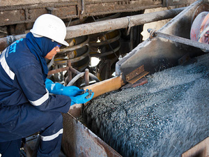 Cobalt : Le Maroc Devance Tout le MENA et Brille en Tech