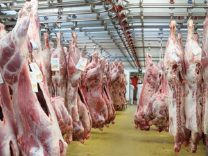 20.000 Tonnes de viande brésilienne : Le Maroc dit oui sans taxes 20.000 Tonnes de viande brésilienne : Le Maroc dit oui sans taxes