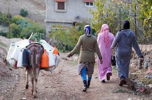 Le changement climatique au Maroc : les femmes, actrices centrales de la résilience face à la crise Le changement climatique au Maroc : les femmes, actrices centrales de la résilience face à la crise