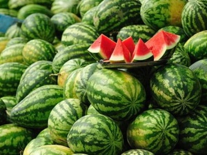 Vive la pastèque marocaine : triomphe ou mirage ? Vive la pastèque marocaine : triomphe ou mirage ?