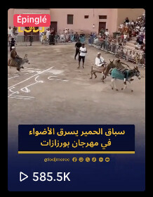 Quand la légèreté rassemble : La magie virale d’une course d’ânes à Ouarzazates Quand la légèreté rassemble : La magie virale d’une course d’ânes à Ouarzazates