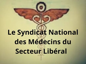 Le SNMSL dénonce l'illégalité du report des élections ordinales Le SNMSL dénonce l'illégalité du report des élections ordinales