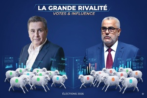 30 moutons et 3 millions de questions : la politique marocaine en clair-obscur 30 moutons et 3 millions de questions : la politique marocaine en clair-obscur