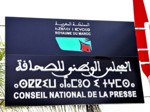 Autorégulation ou dilution ? Une analyse critique du projet de loi sur le CNP Autorégulation ou dilution ? Une analyse critique du projet de loi sur le CNP