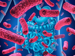 Microbiote intestinal : votre allié invisible pour la santé et le bien-être Microbiote intestinal : votre allié invisible pour la santé et le bien-être