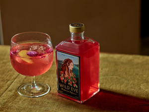 Le boom des boissons adaptogènes : quand ton latte devient ton coach bien-être Le boom des boissons adaptogènes : quand ton latte devient ton coach bien-être