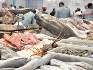 Inde 2026 : vitrine planétaire pour le poisson marocain Inde 2026 : vitrine planétaire pour le poisson marocain