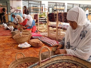 Les coopératives agricoles : quand le Maroc réinvente ses produits du terroir Les coopératives agricoles : quand le Maroc réinvente ses produits du terroir