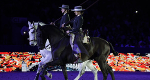 Le Salon du Cheval d’El Jadida : les femmes au cœur d’une nouvelle équation équestre Le Salon du Cheval d’El Jadida : les femmes au cœur d’une nouvelle équation équestre