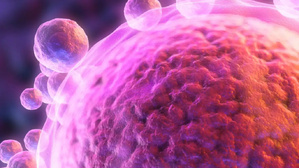 Quand la peau devient ovule : l’espoir renaît pour l’infertilité