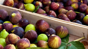 Fini le gaspillage ! les astuces simples pour conserver vos figues Fini le gaspillage ! les astuces simples pour conserver vos figues